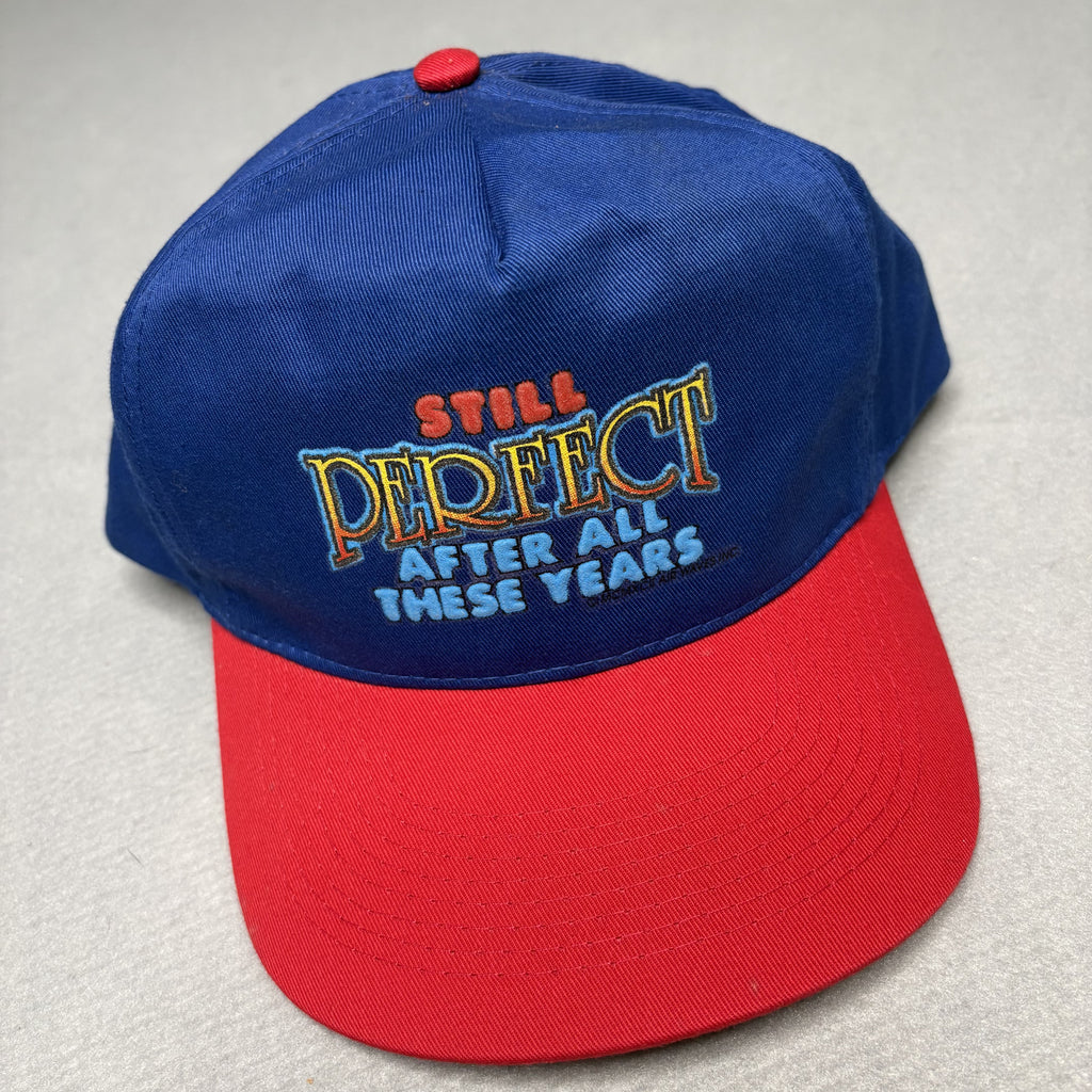 Otto Cap Blue and Red Snapback Hat