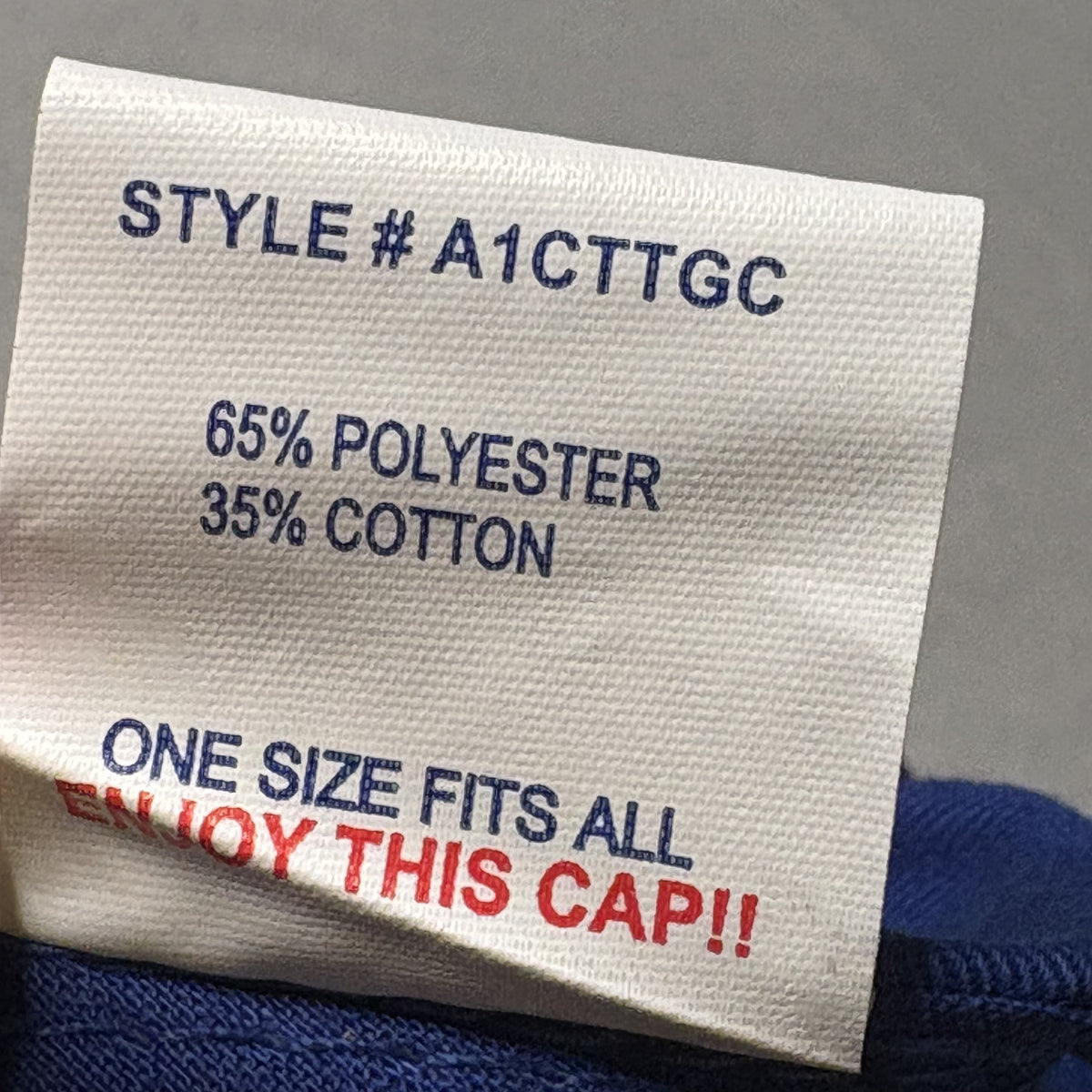 Otto Cap Blue and Red Snapback Hat