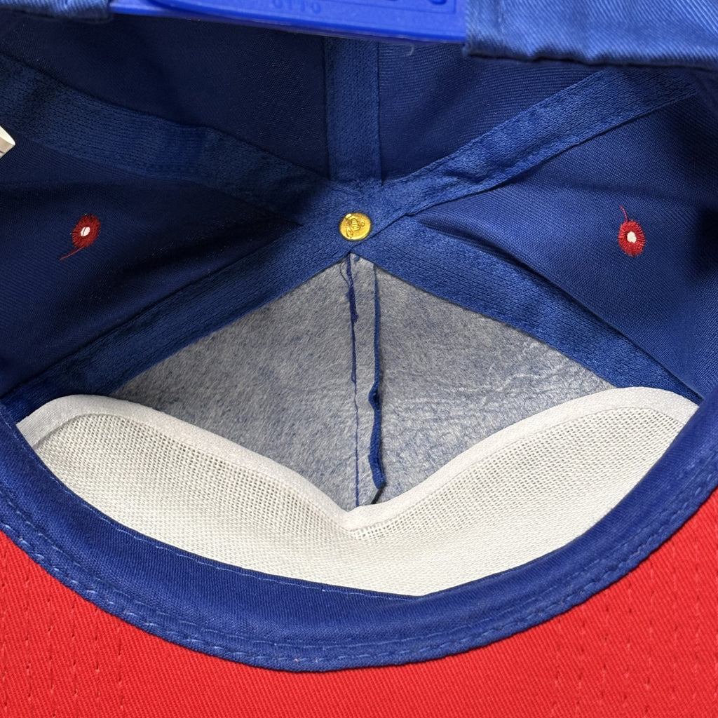 Otto Cap Blue and Red Snapback Hat
