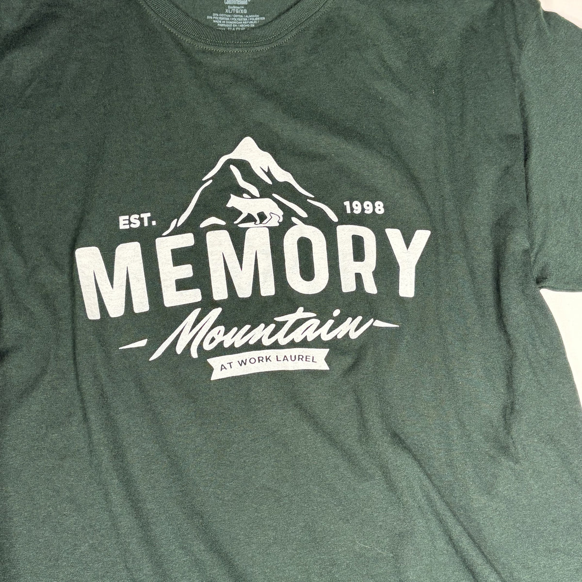 Hanes Comfort Blend Memory Mountain Graphic T-Shirt XL