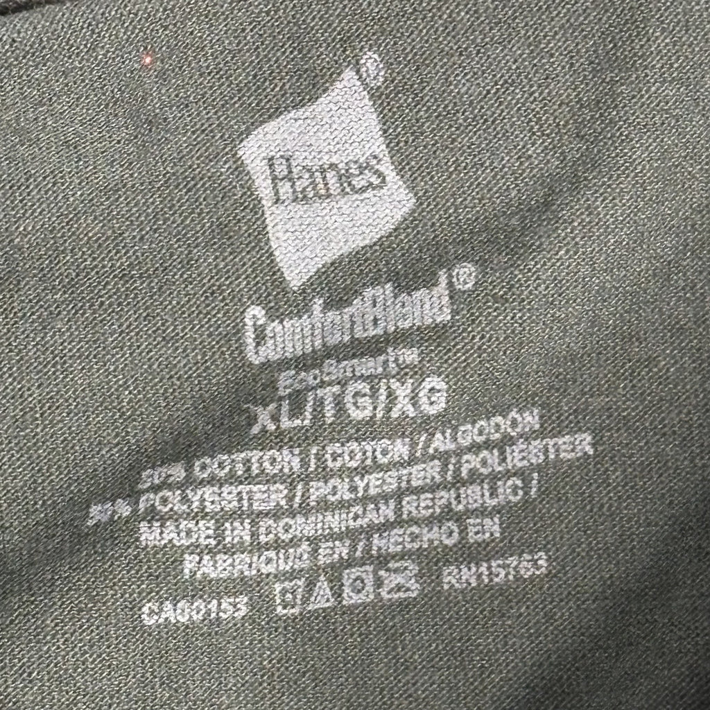 Hanes Comfort Blend Memory Mountain Graphic T-Shirt XL