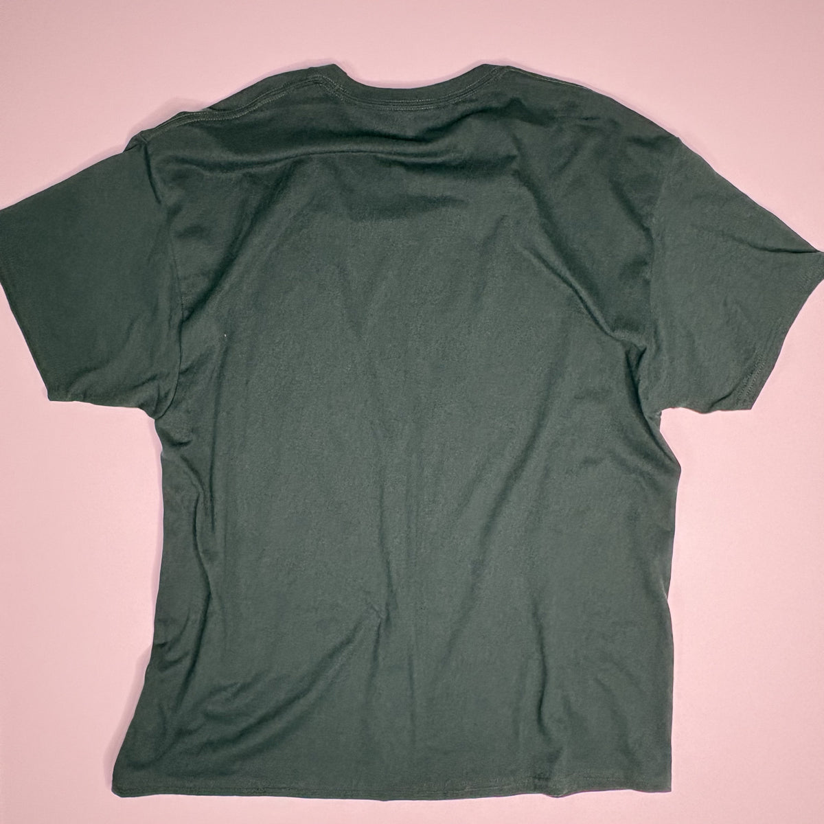 Hanes Comfort Blend Memory Mountain Graphic T-Shirt XL