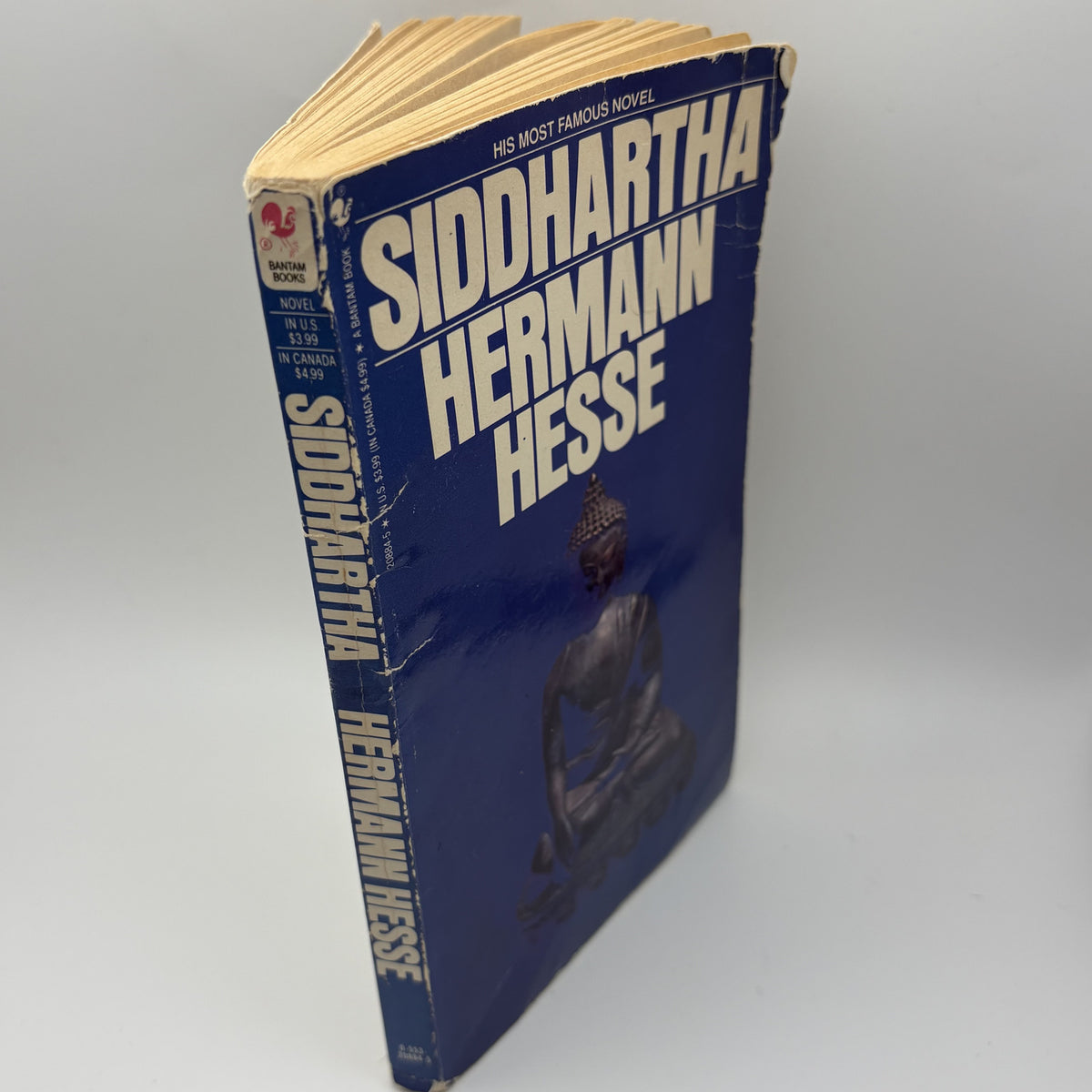Siddhartha by Hermann Hesse Paperback Book